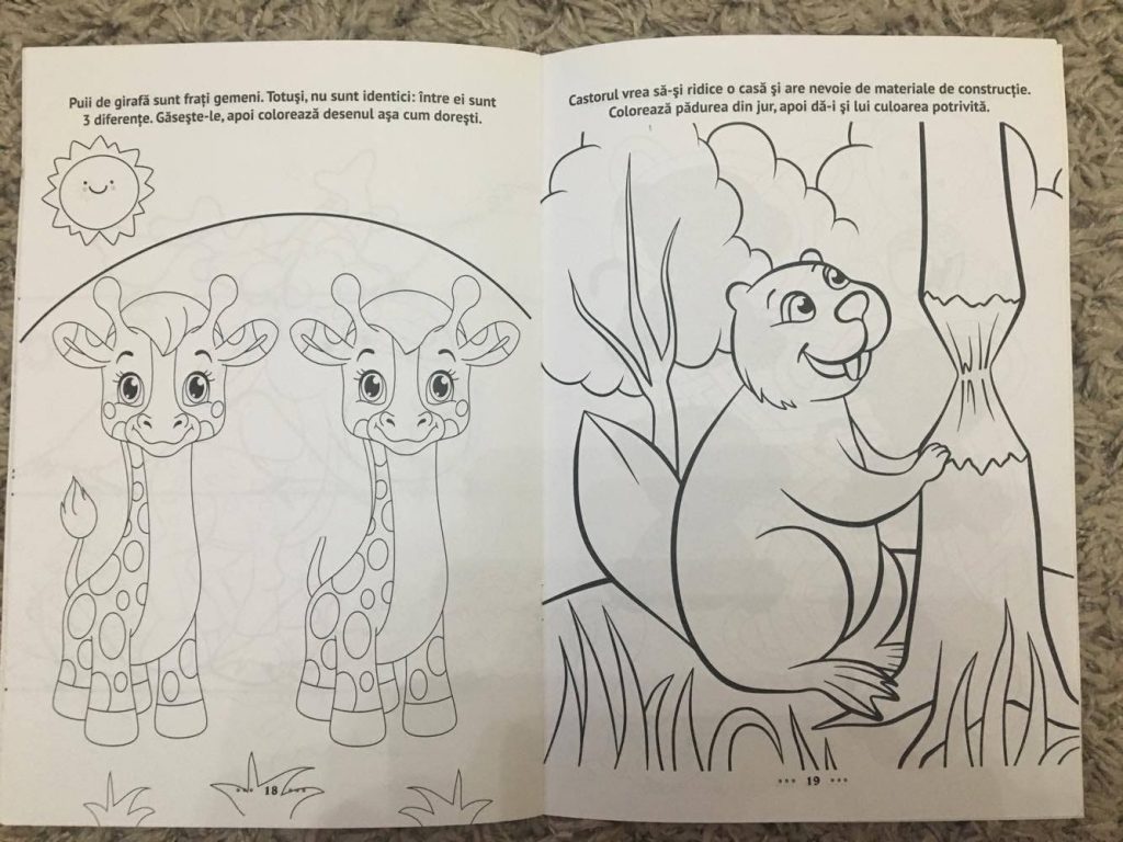 carte-de-activitati-min